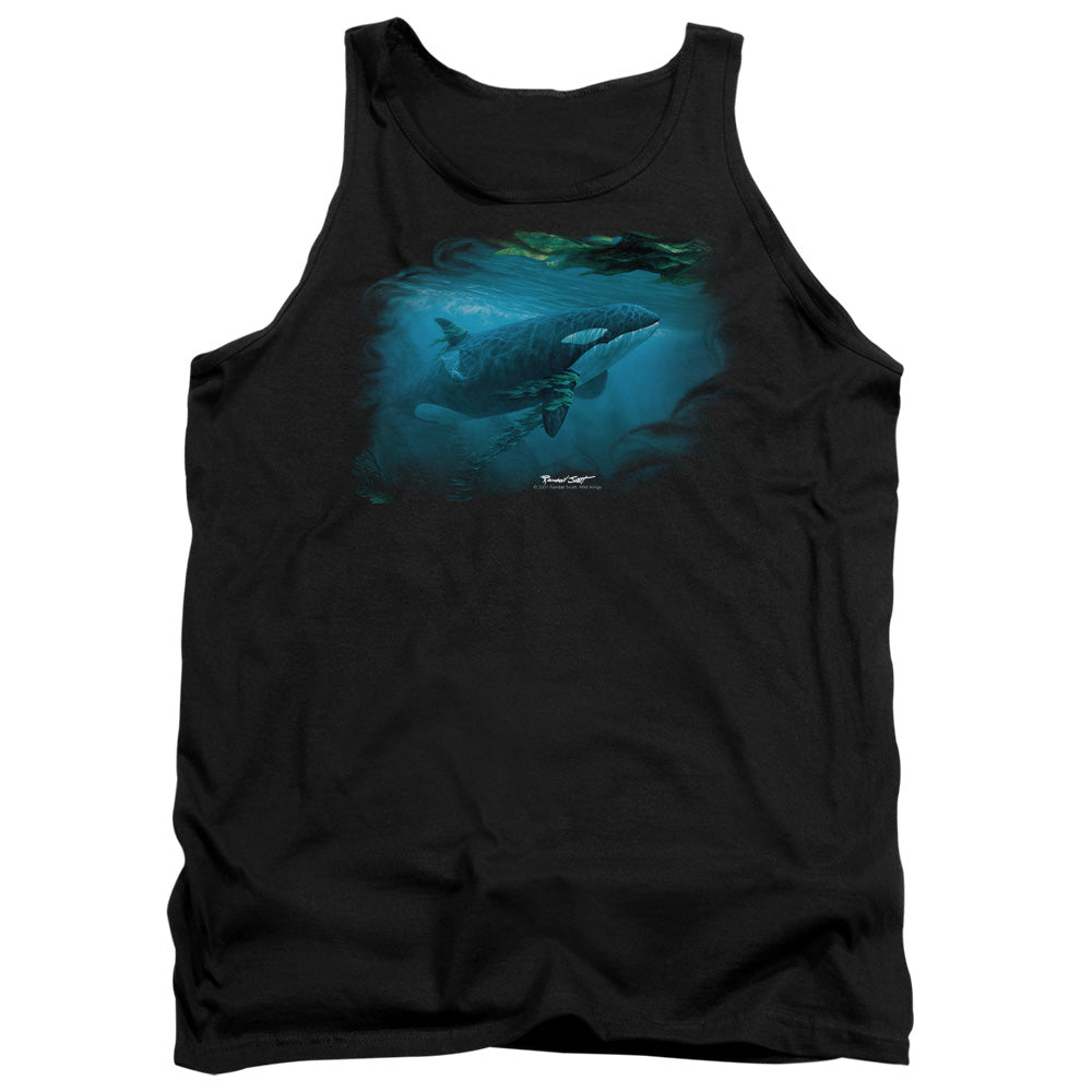 WILDLIFE/PURSUIT THRU THE KELP ORCA