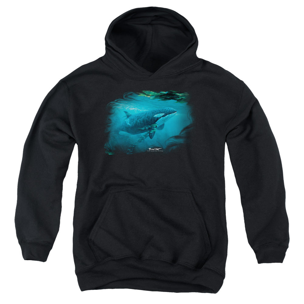 WILDLIFE/PURSUIT THRU THE KELP ORCA