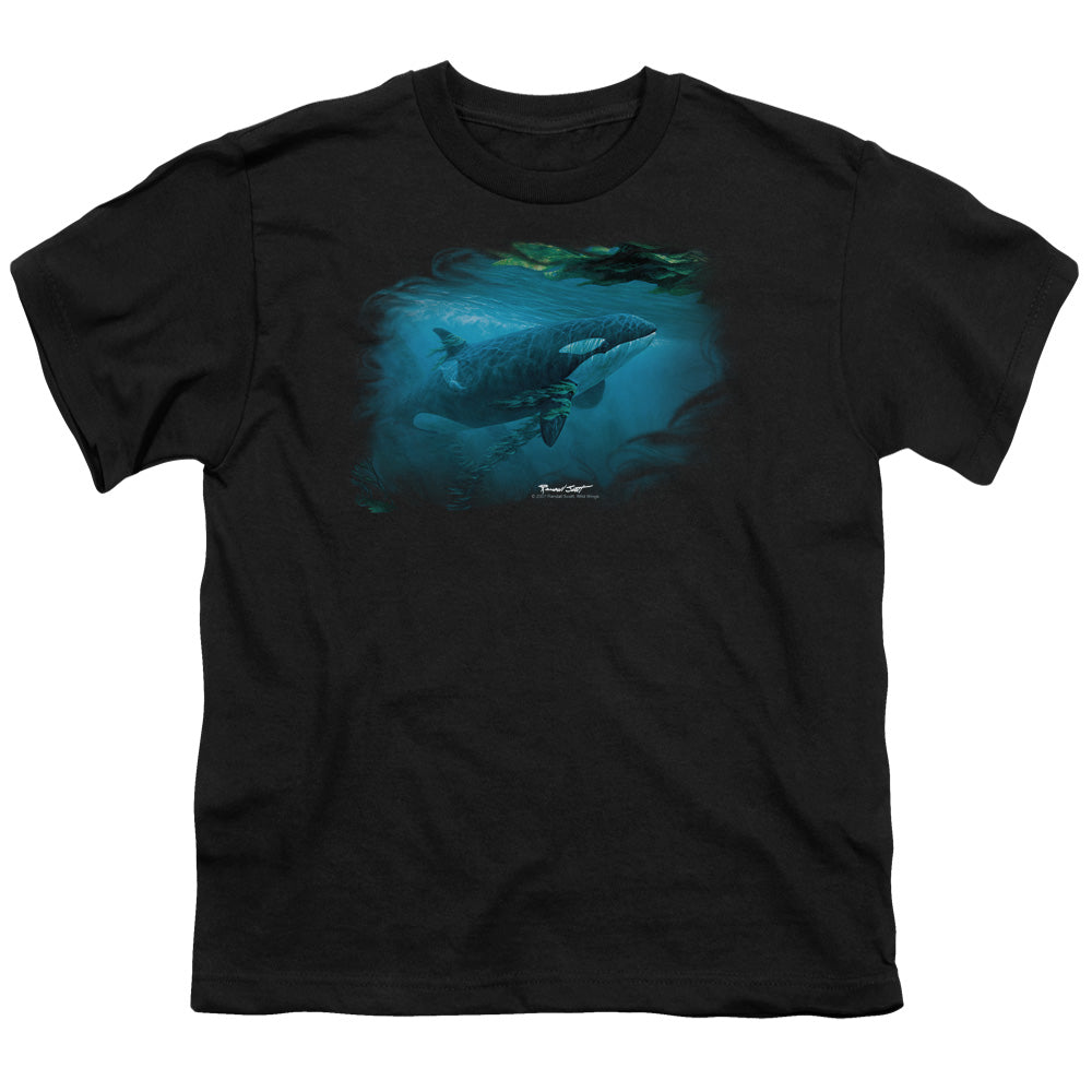 WILDLIFE/PURSUIT THRU THE KELP ORCA