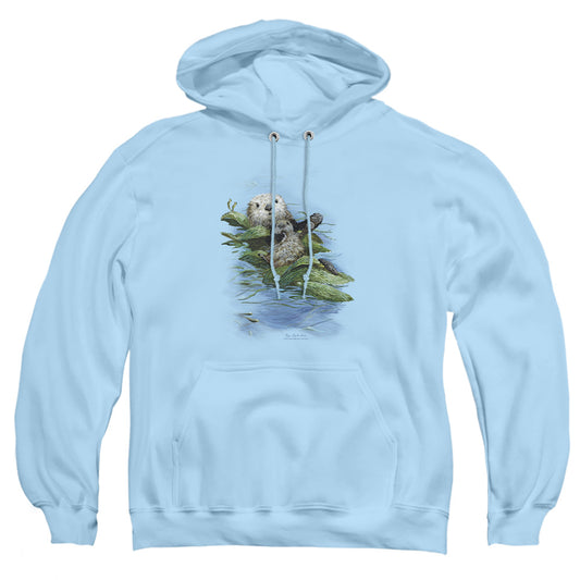 WILDLIFE/KELP CRADLE OTTERS