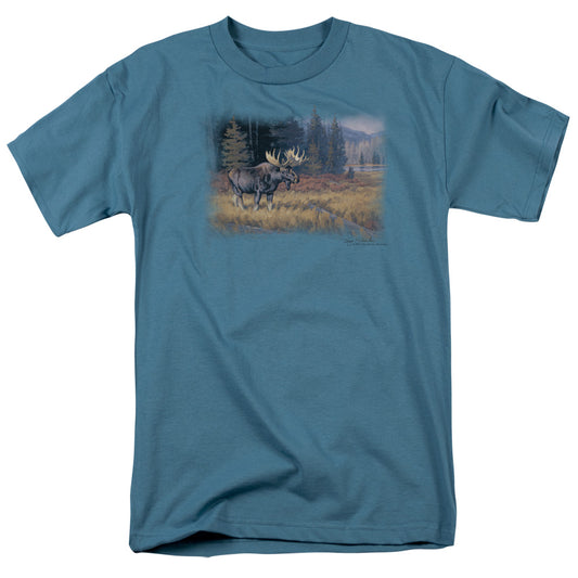 WILDLIFE/OCTOBER MOOSE