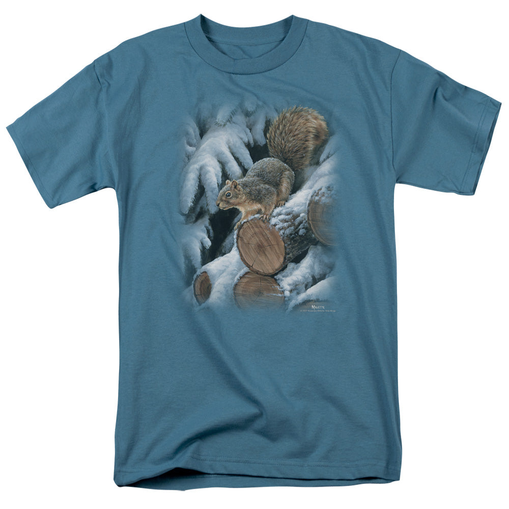WILDLIFE/WOOD PILE SQUIRREL
