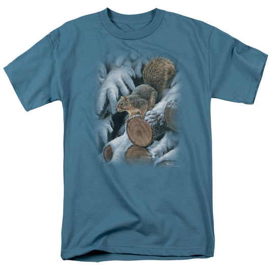WILDLIFE/WOOD PILE SQUIRREL