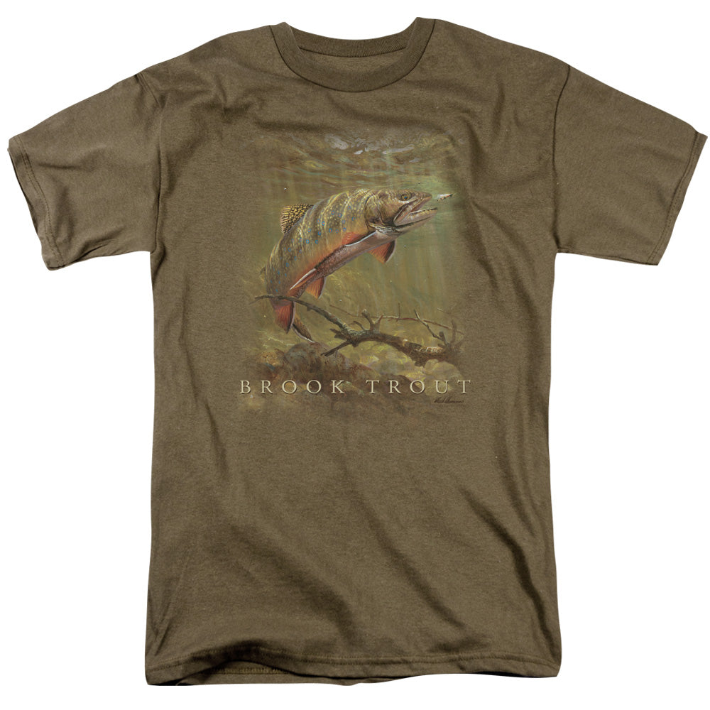 WILDLIFE/BROOK TROUT