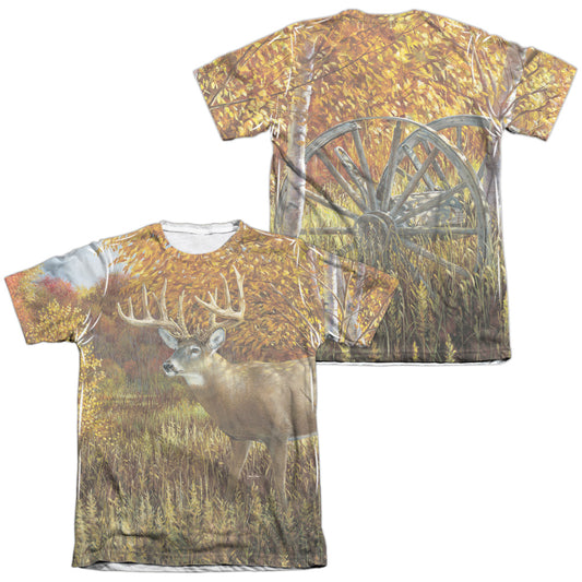 WILD WINGS/WHEN COLOR IS KING (FRONT/BACK PRINT)