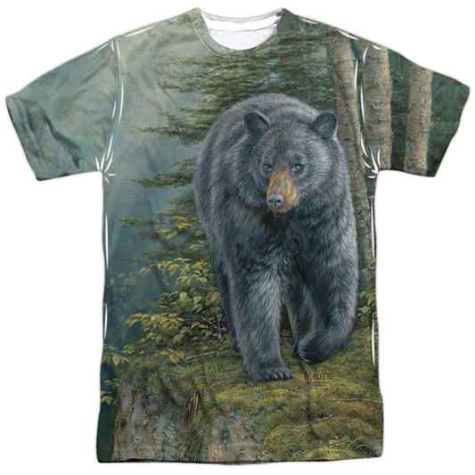 WILD WINGS/BLACK BEAR