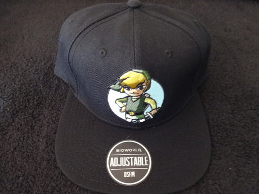 Link Core Snap Back Hat