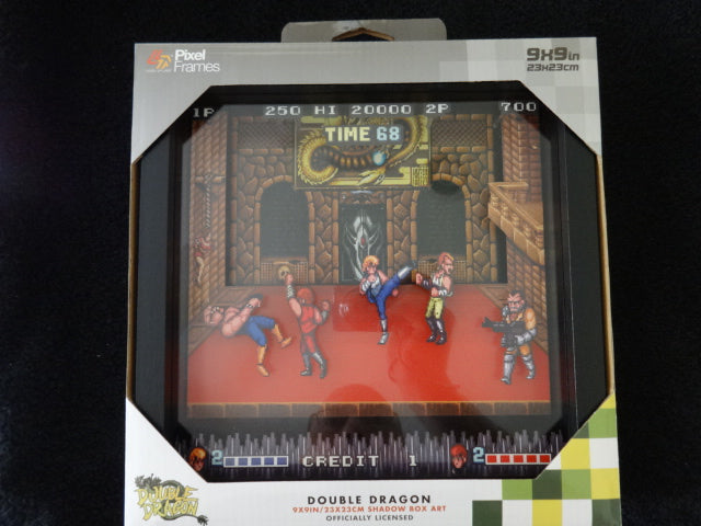 Double Dragon 9X9 3D Pixel Frame