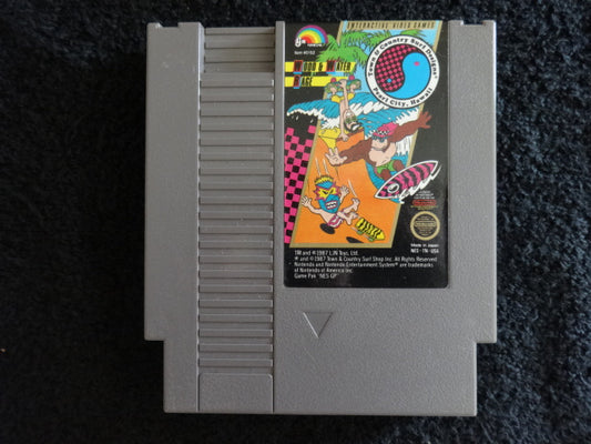 Town & Country Surf Designs: Wood and Water Rage Nintendo Entertainment System